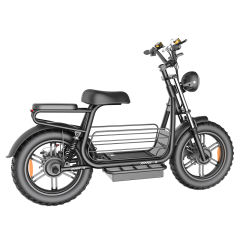 D10 Powerful 750w/1500w 20*4.0 Inch Big Wheel Electric Scooter Bike Fast Speed Long Rang Electric Mountain Bike