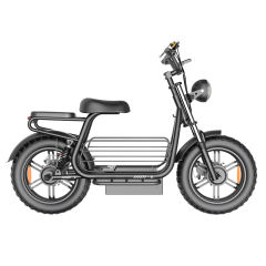 D10 Powerful 750w/1500w 20*4.0 Inch Big Wheel Electric Scooter Bike Fast Speed Long Rang Electric Mountain Bike