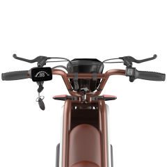 Tricycles 11 inch tire 500W 1000W Pet three wheeler buy electric motorcycles scooters wholesale