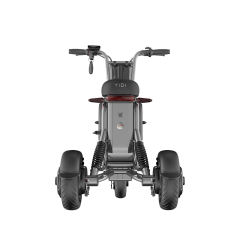 Tricycles 11 inch tire 500W 1000W Pet three wheeler buy electric motorcycles scooters wholesale