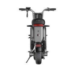 YIDI Factory Wholesale 2 Wheel Electric Cargo Bike With Pet Storage 11 Inch Tire Electric Moped Scooter
