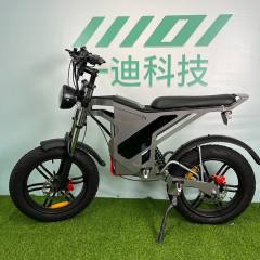 YIDI Manufacture 750W 1500W Height Speed Electric Fat Tire Bike Electric Motocycle