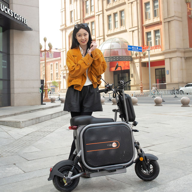 YIDI Factory Wholesale 2 Wheel Electric Cargo Bike With Pet Storage 11 Inch Tire Electric Moped Scooter