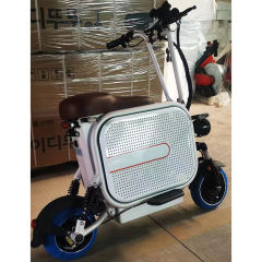 YIDI Factory Wholesale 2 Wheel Electric Cargo Bike With Pet Storage 11 Inch Tire Electric Moped Scooter