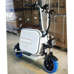 YIDI Factory Wholesale 2 Wheel Electric Cargo Bike With Pet Storage 11 Inch Tire Electric Moped Scooter