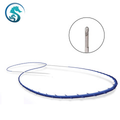 High Quality Double Needle Thread L/W/Sharp Needle 19/20G PDO Thread For Eyebrow Forehead