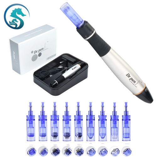 D.Seahorse A1C Dr. Pen Auto Microneedle System
