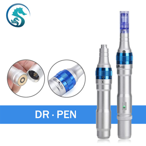 D.Seahorse A6 Dr. Pen microneedle face skincare