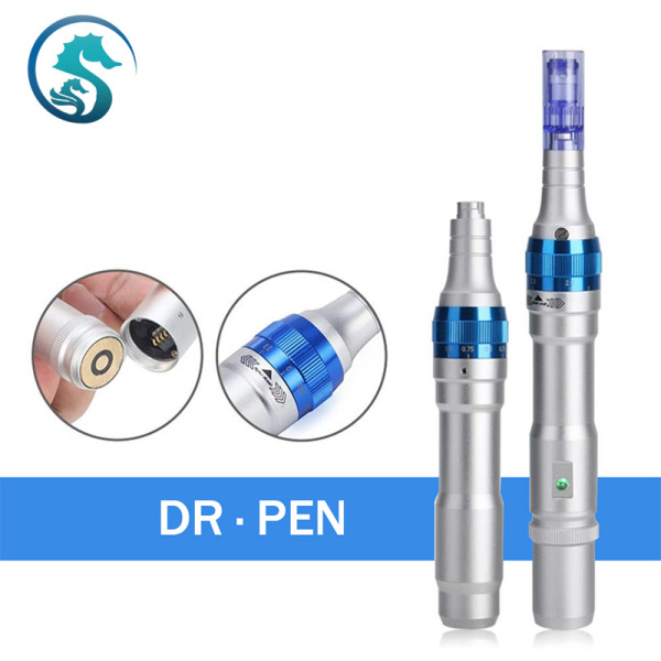 A6 Dr. Pen