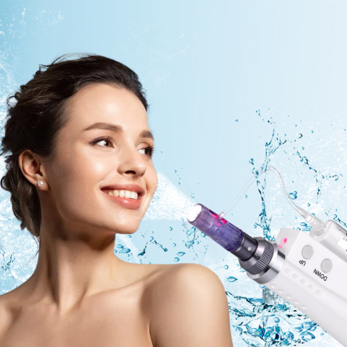 D.Seahorse Mini Nano 2IN1 mesotherapy gun for sale