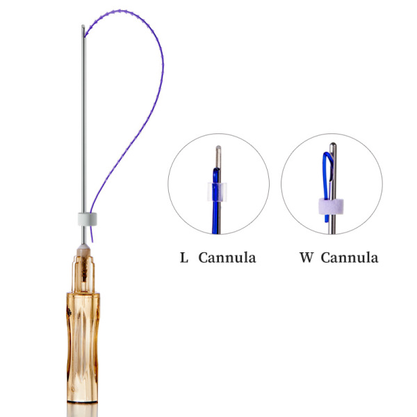 Dseahorse face lifting PDO Cones Cog Thread