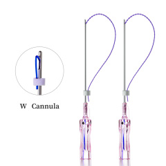 Dseahorse face lifting PDO Cones Cog Thread