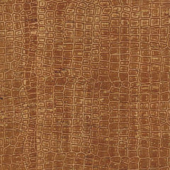 lizard skin Embossed on Color Cork