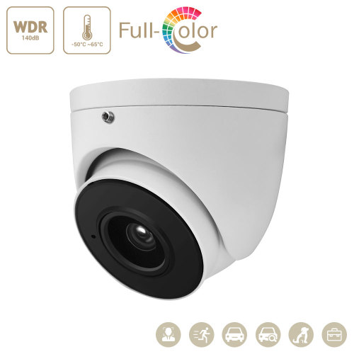 8MP/5MP/4MP/2MP Fixed Dome EiZMind FTC Camera