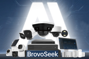 Large-Scale AI Models: BrovoSeek