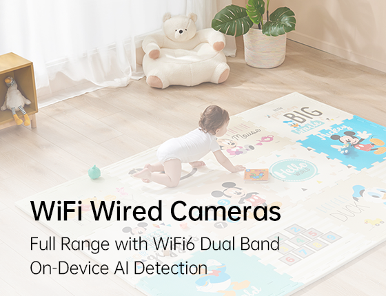 WiFi Wired Cameras