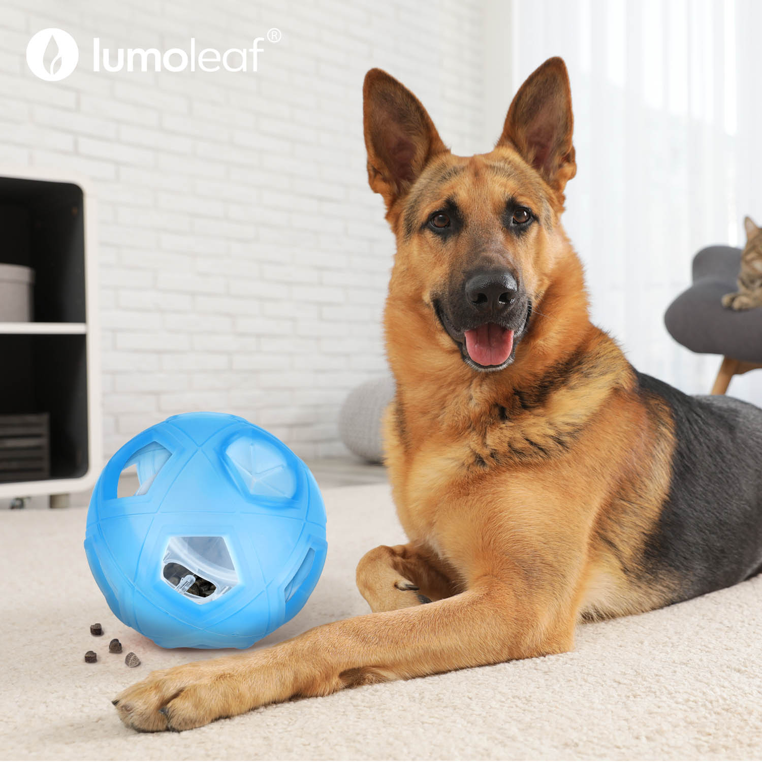 Lumoleaf dog treat store ball