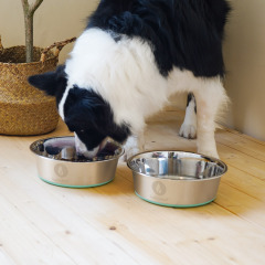 LumoLeaf Dog Bowls Large Stainless Steel 1750ml 2 Pack Water and Food Bowls