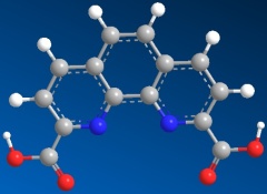 High quality 1,10-Phenanthroline-2,9-dicarboxylic acid CAS 57709-61-2