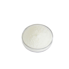 Best quality Vitamin B3 Niacinamide Powder CAS 98-92-0 with good price