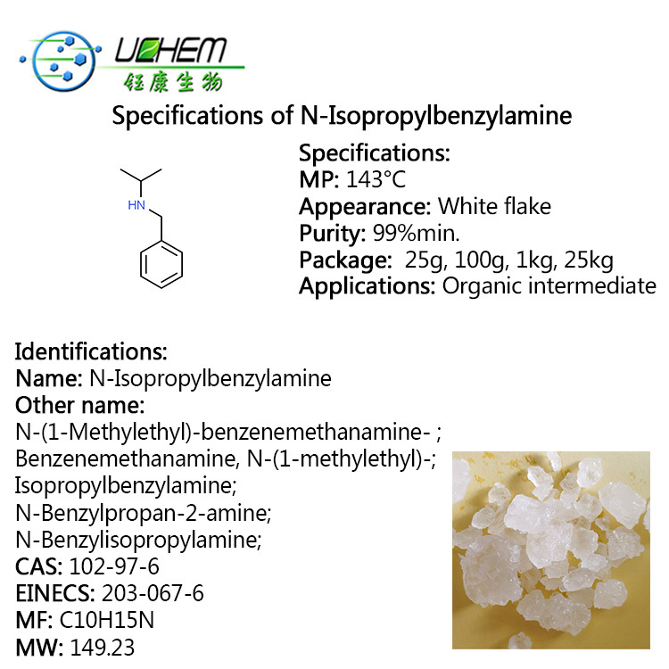 Factory Supply High Purity N-Isopropylbenzylamine / Isopropylbenzylamine liquid CAS 102-97-6