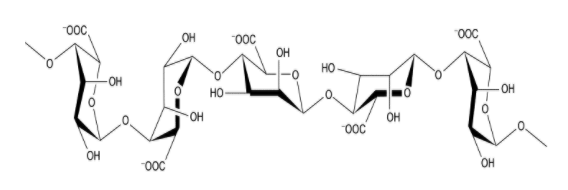 Factory Price Alginic acid power CAS 9005-32-7 in stock
