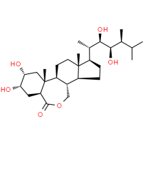 Factory Price Epibrassinolide / Brassinolide 90%TC CAS 72962-43-7