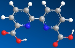 Factory supply 2,2'-Bipyridine-6,6'-dicarboxylic acid CAS no.4479-74-7