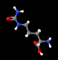 High Quality L-Citrulline CAS 372-75-8 With Good Price