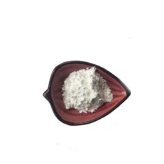 Factory supply 3-Oxocyclobutanecarboxylic acid CAS 23761-23-1