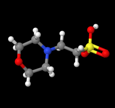 High purity 4-Morpholineethanesulfonic acid CAS 4432-31-9 with low price