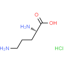 High purity L-Ornithine hcl / L-Ornithine hydrochloride CAS 3184-13-2 in stock