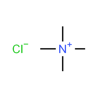 Factory supply TMAC Tetramethyl ammonium chloride CAS 75-57-0 in stock