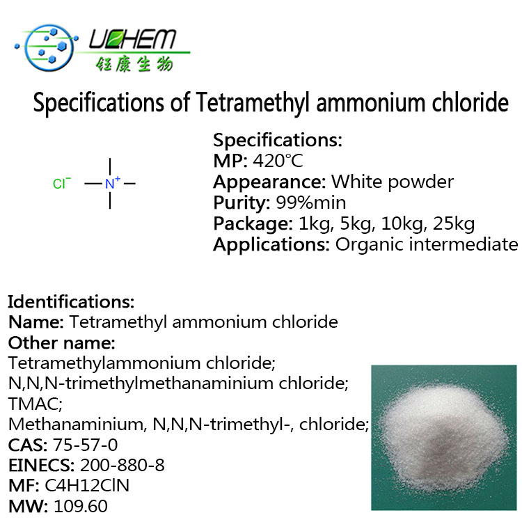 Factory supply TMAC Tetramethyl ammonium chloride CAS 75-57-0 in stock