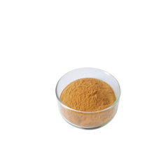 High quality 3-Amino-4-methylbenzamide CAS 19406-86-1
