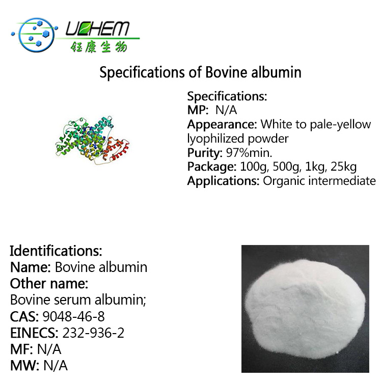 High quality Bovine albumin CAS 9048-46-8 with good price