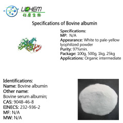 High quality Bovine albumin CAS 9048-46-8 with good price