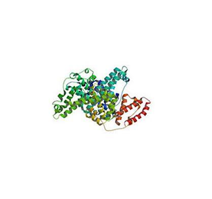 High quality Bovine albumin CAS 9048-46-8 with good price