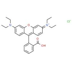 High quality Rhodamine B CAS 81-88-9 with best price