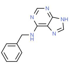 Plant Growth Regulator 6-Benzylaminopurine (6-BA) powder CAS 1214-39-7 6-BAP