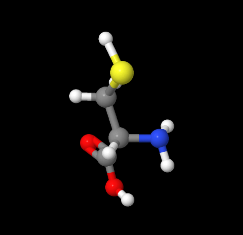 Factory Supply Cysteine / L-Cysteine powder CAS 52-90-4 with best price