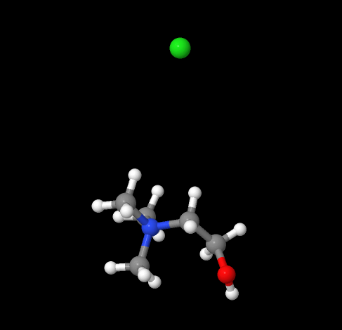 Hot Sale 98% Choline chloride powder CAS 67-48-1 With Competitive price