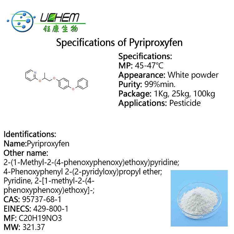 High quality 99%min Pyriproxyfen CAS 95737-68-1 with good price