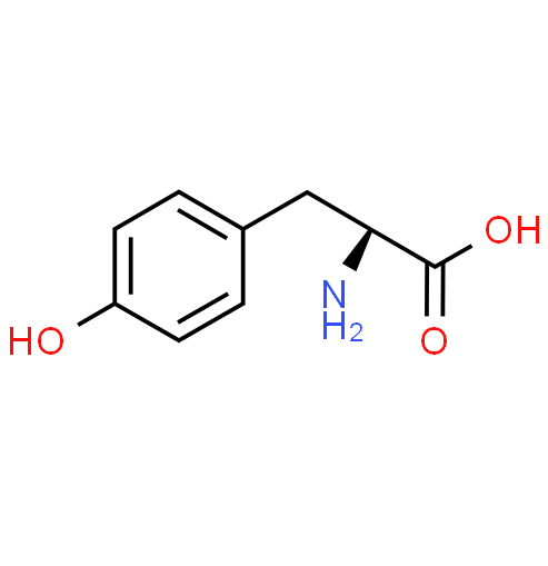 Top quality L-Tyrosine powder with best price cas 60-18-4