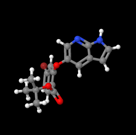 Supply high quality 4-Bromo-2-(1H-pyrrolo[2,3-b]pyridin-5-yloxy)benzoic acid 1,1-dimethylethyl ester cas 1628047-84-6