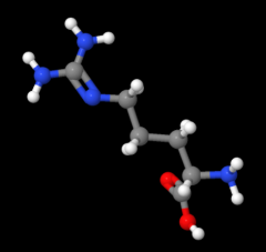 High quality L-Arginine powder with best price cas 74-79-3
