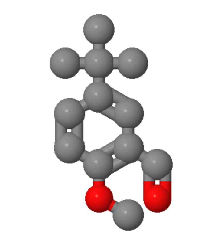 Hot selling 99% 5-tert-Butyl-2-methoxybenzaldehyde cas 85943-26-6 with low price