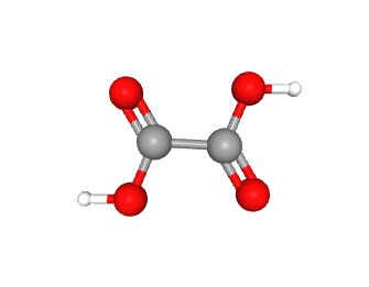 Factory supply Cupric oxalate powder CAS 814-91-5 in stock