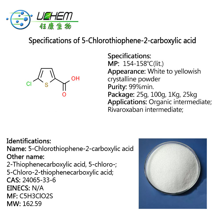 Top quality 5-Chlorothiophene-2-Carboxylic Acid with best price CAS 24065-33-6