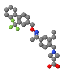 High quality 1-{4-[(1E)-N-{[4-Cyclohexyl-3-(trifluoromethyl)benzyl]oxy}ethanimidoyl]-2-ethylbenzyl}-3-azetidinecarboxylic acid CAS 1230487-00-9 with best price